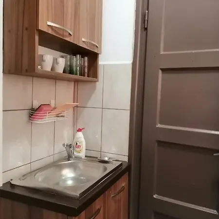 Doamnei Studio Διαμέρισμα *