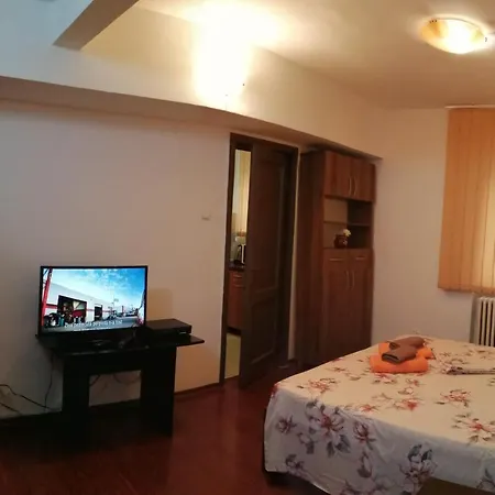Doamnei Studio Διαμέρισμα *