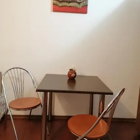 Apartamento Doamnei Studio